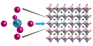Dual Nature of the Excited State in Organic-Inorganic Lead Halide Perovskites